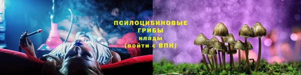 тгк Бородино